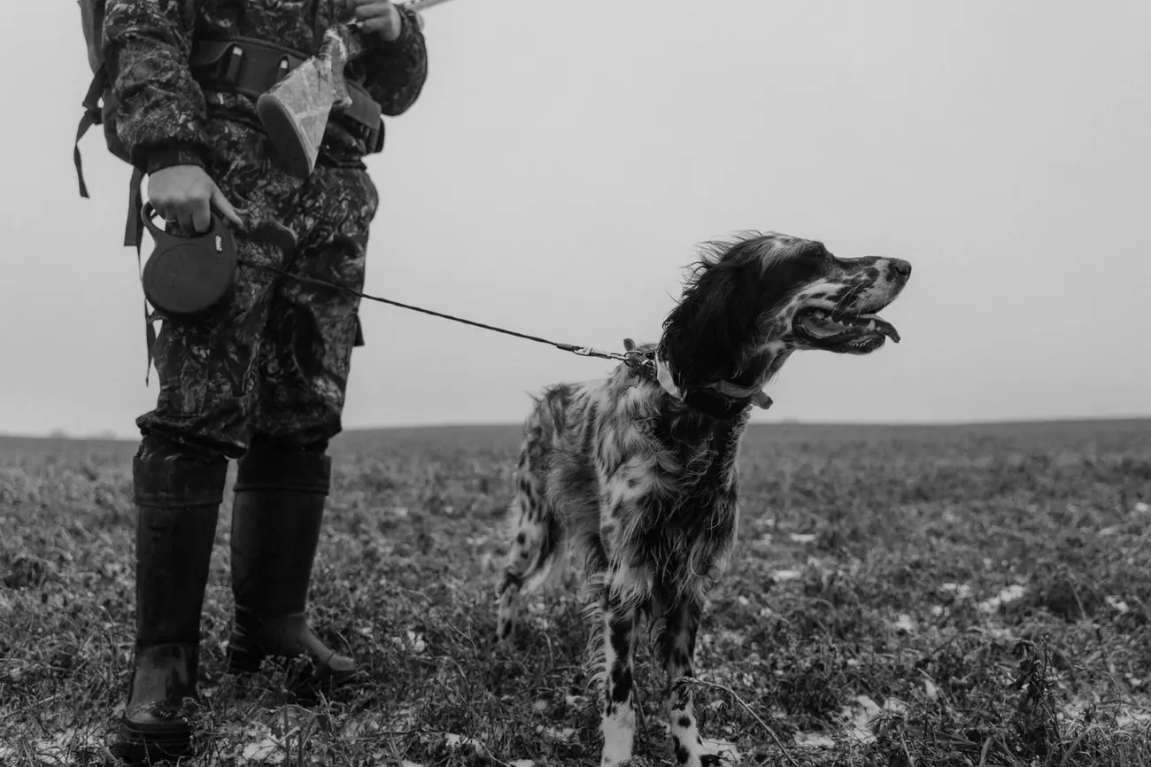 Hunter and bird dog standing in a foggy field
